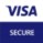 visa icon